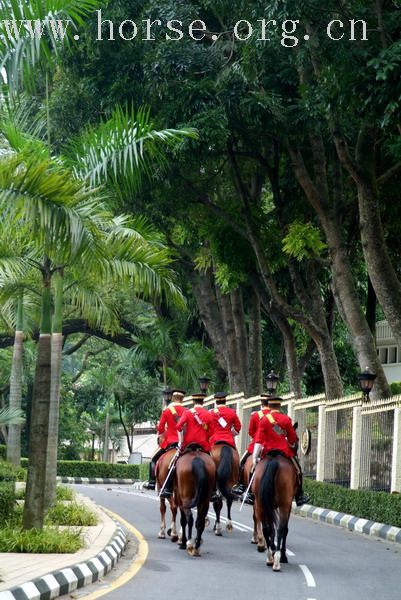 在马来西亚拍到的皇家御林军骑兵