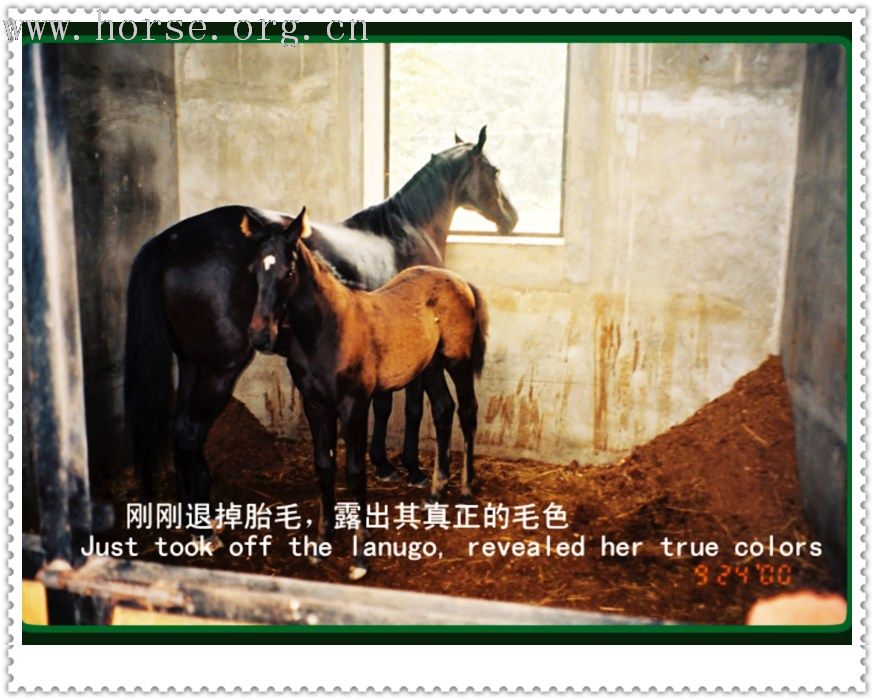 [贴图][转帖]第一个故事，勇往直前---用爱心筑成的奇迹 (一)