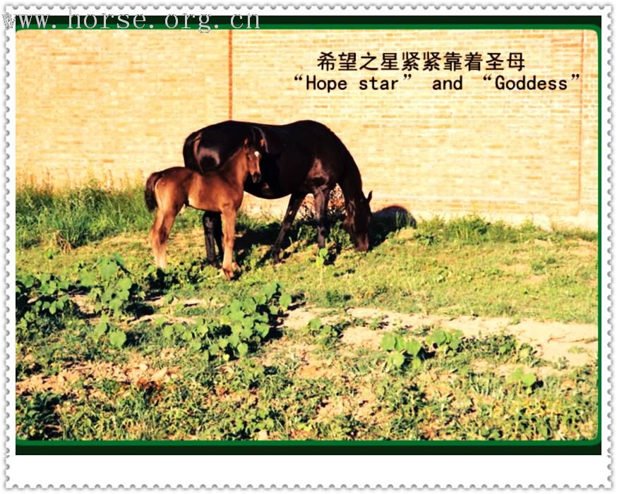 [贴图][转帖]第一个故事，勇往直前---用爱心筑成的奇迹 (一)