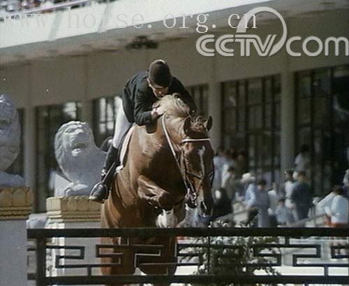 视频：CCTV百姓故事-传奇奥运：马蹄之舞 华丽的马术