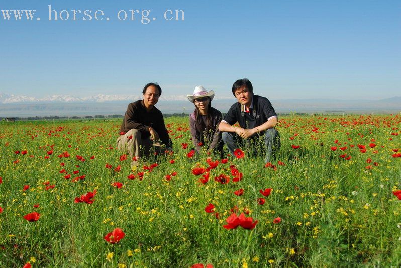 花海之约——新疆喀纳斯禾木空中花园之旅（一）伊犁的花