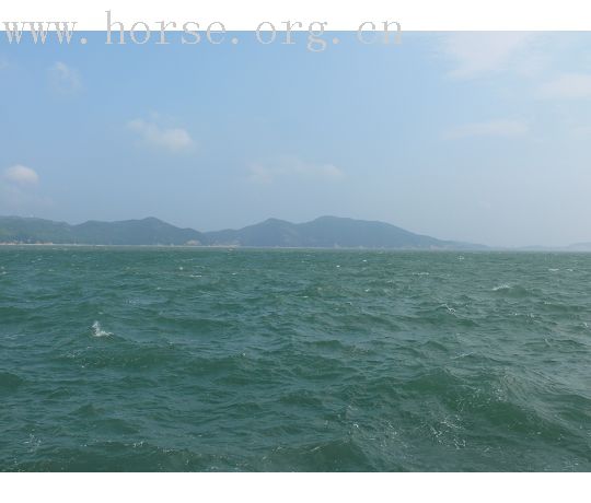 [召集]海边骑马.游泳.吃海鲜~~~今年夏天在嵊泗