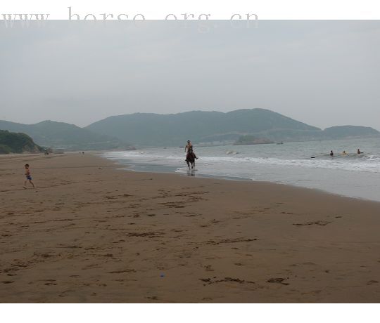 [召集]海边骑马.游泳.吃海鲜~~~今年夏天在嵊泗