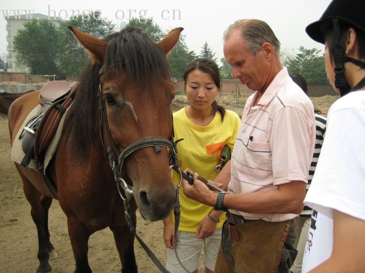 芬兰两骑手与西安马术俱乐部技术交流活动照片