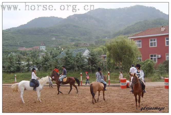 上海马友----山东马友的首次马术访问交流