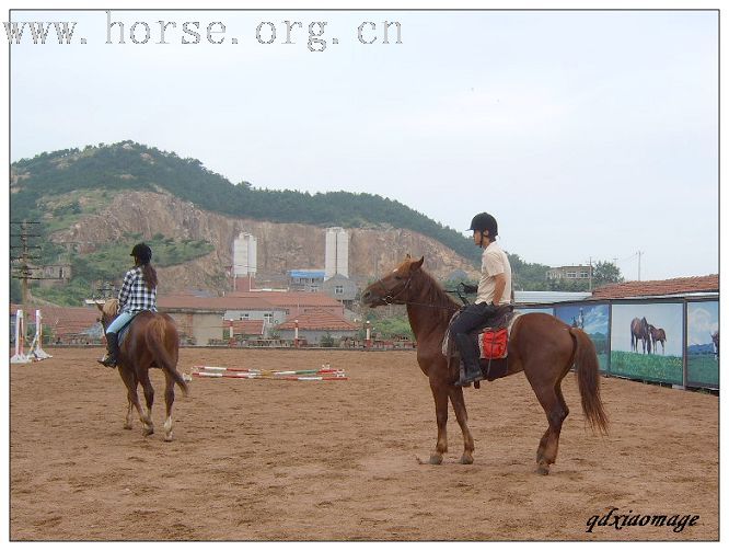 上海马友----山东马友的首次马术访问交流