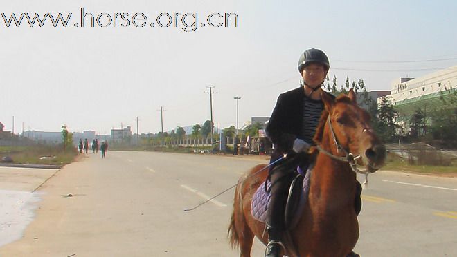 当天参加活动的人员与马匹