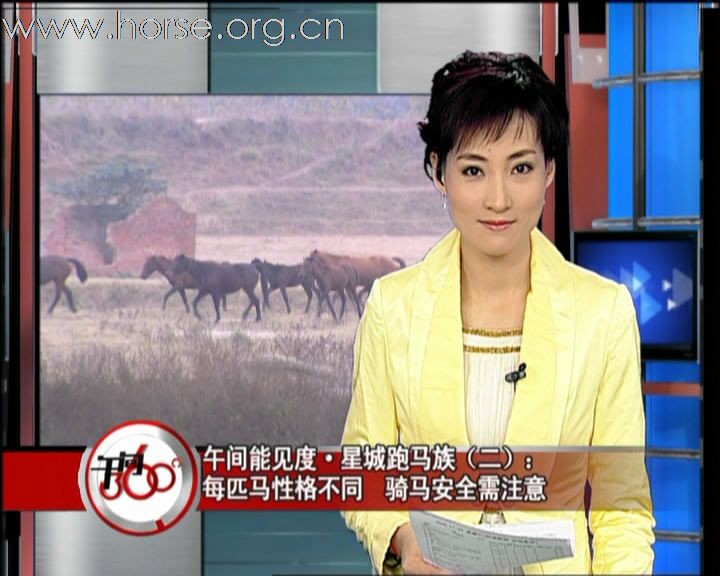 11月23日湖南经视对湘军骑兵团的专题报道已更新