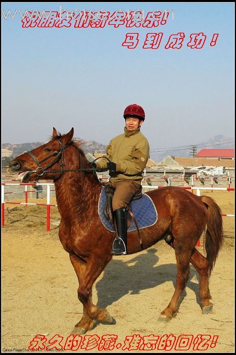 上海马友----山东马友的首次马术访问交流