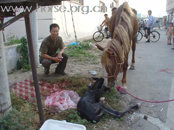 难过又高兴