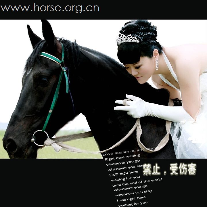 原创：马背上的婚纱摄影