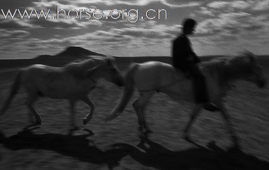 6月28日—7月23日影展 蒙古族摄影师——阿鲁斯作品《那年 在草原 看风 越过地平线》