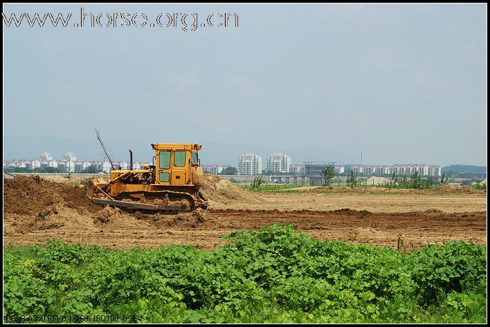 江西第一家马术俱乐部就要开张了(平整场地)