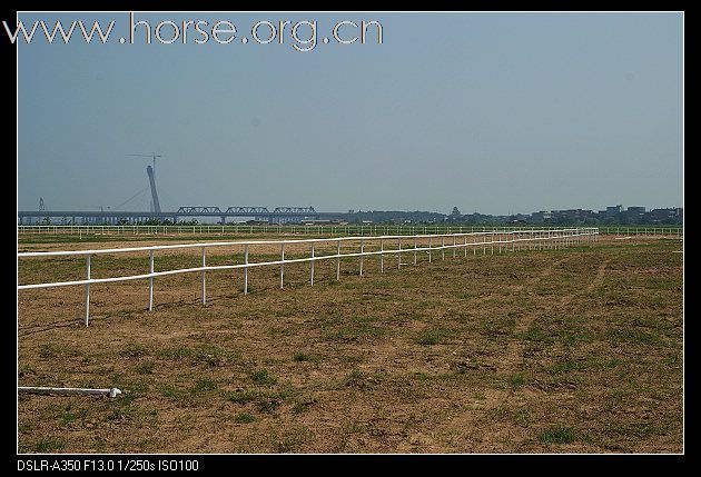 江西第一家马术俱乐部就要开张了(1000m速度跑道照片）