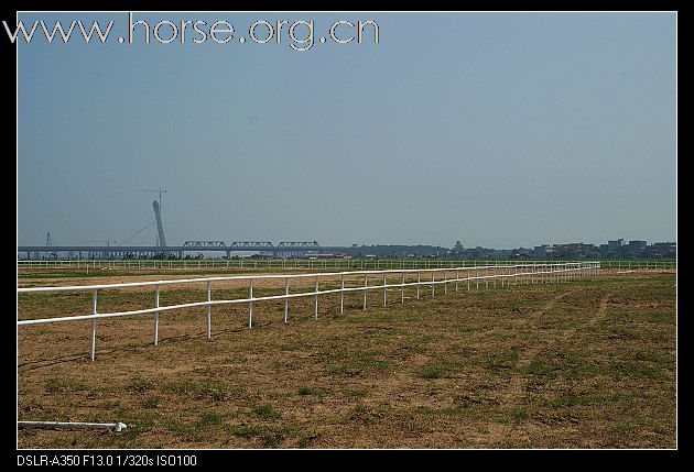 江西第一家马术俱乐部就要开张了(1000m速度跑道照片）