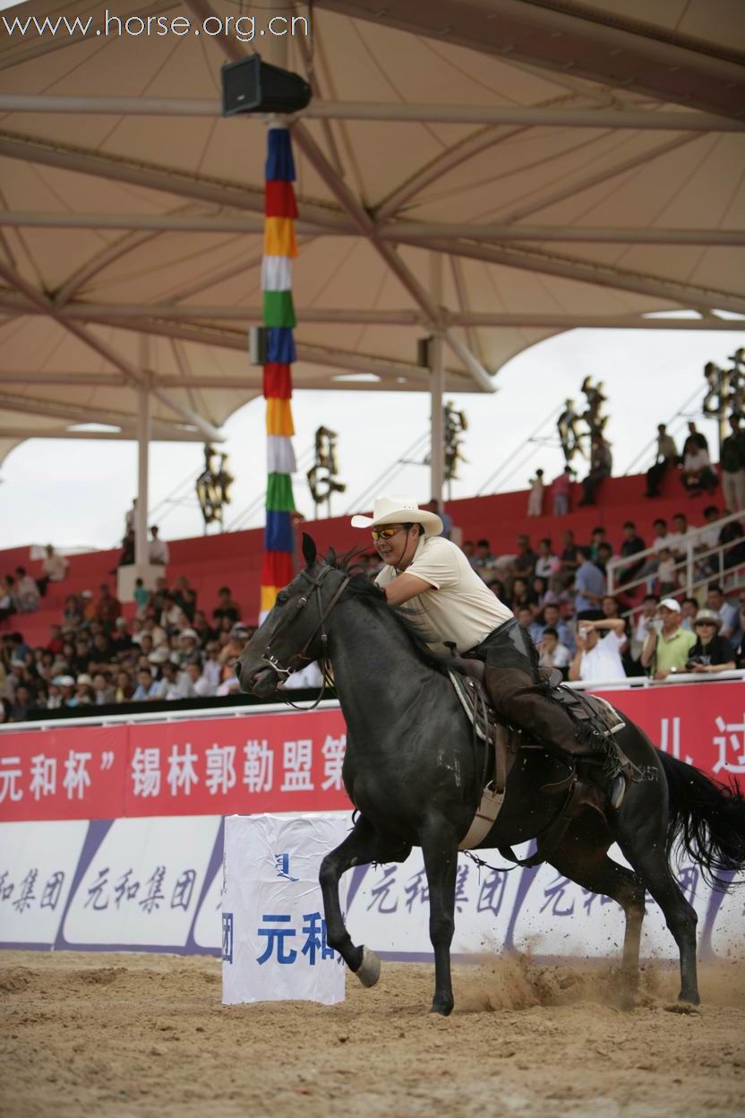 2008西蒙绕桶赛感谢颐和马房提供的马匹