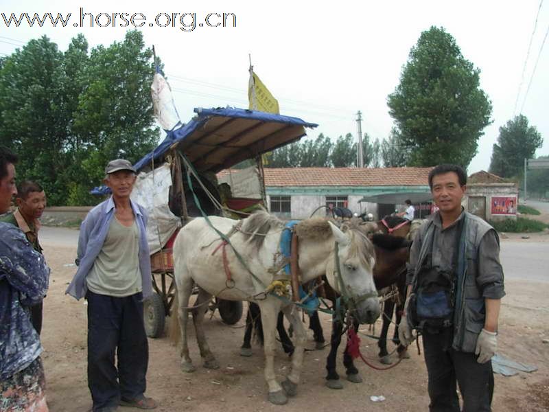 热烈祝贺“走马中国”迎奥运活动圆满成功！