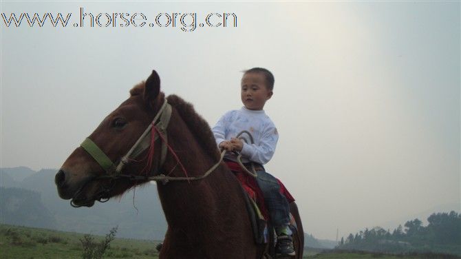 湘西土家族苗族自治州保靖沙坪度假村的小骑手