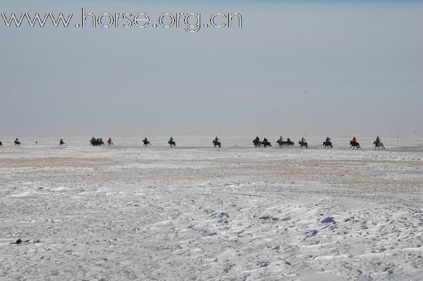 2009西乌旗草原冰雪嘉年华赛马现场亲历