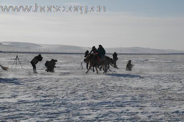 2009西乌旗草原冰雪嘉年华赛马现场亲历