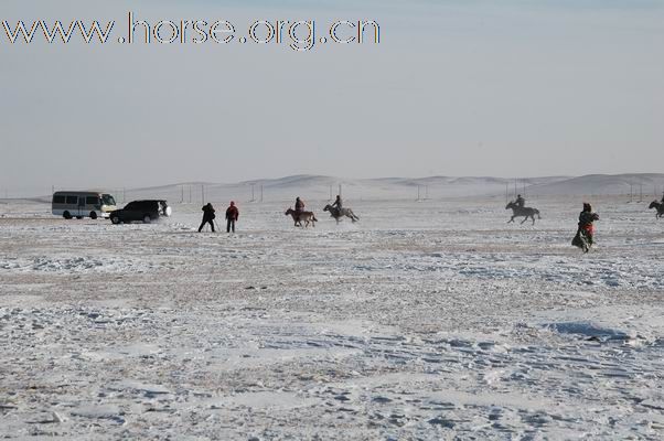 2009西乌旗草原冰雪嘉年华赛马现场亲历