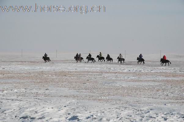 2009西乌旗草原冰雪嘉年华赛马现场亲历