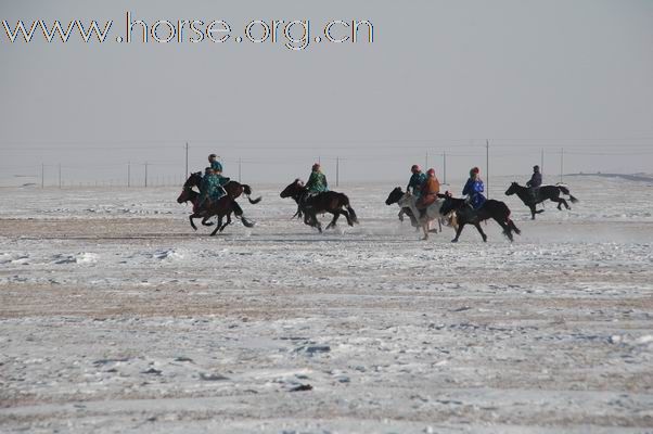 2009西乌旗草原冰雪嘉年华赛马现场亲历