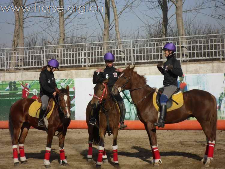 为拿到2010年国际马联(FEI)世界马术运动会国际马篮球比赛的参赛资格马篮球队员即日起加紧比赛训