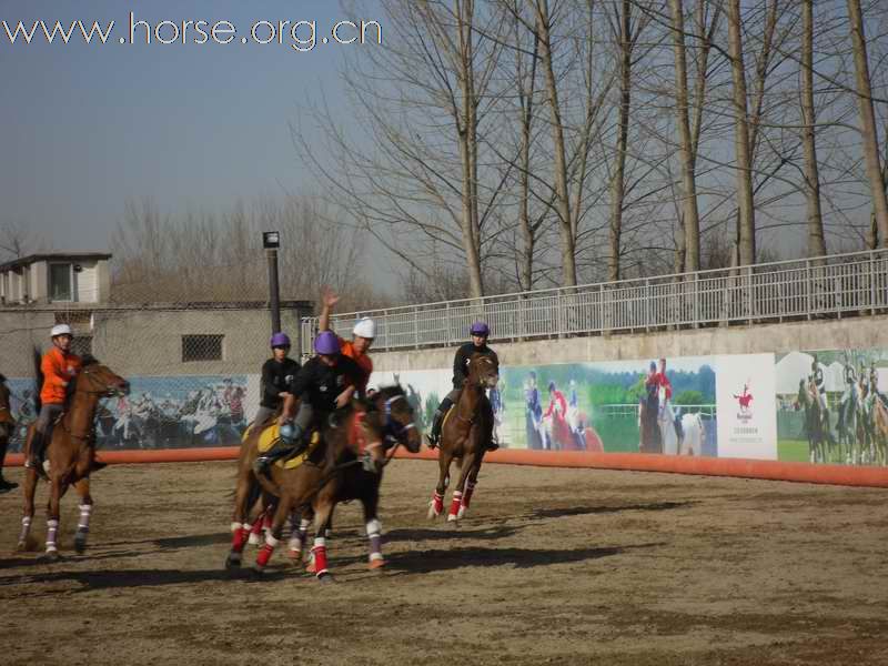 为拿到2010年国际马联(FEI)世界马术运动会国际马篮球比赛的参赛资格马篮球队员即日起加紧比赛训