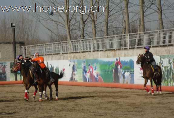 为拿到2010年国际马联(FEI)世界马术运动会国际马篮球比赛的参赛资格马篮球队员即日起加紧比赛训