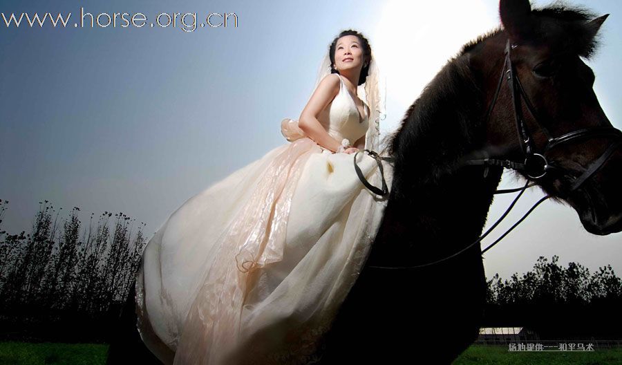 美女与野兽----马术主题婚纱摄影