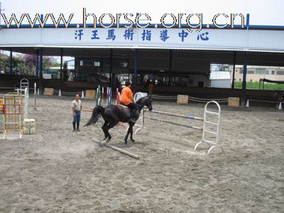 台灣馬場（中部）簡介-汗王馬術指導中心