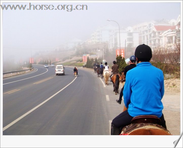 [贴图]青岛凤凰马术俱乐部第四届骑马穿越活动圆满结束