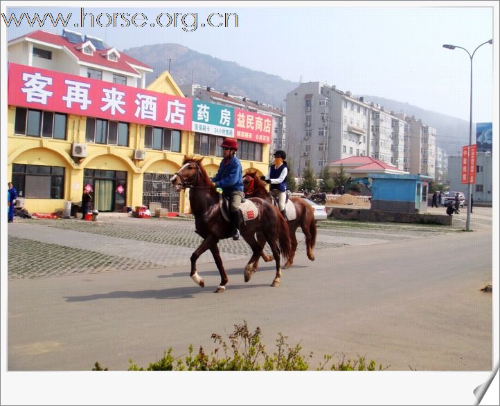 [贴图]青岛凤凰马术俱乐部第四届骑马穿越活动圆满结束