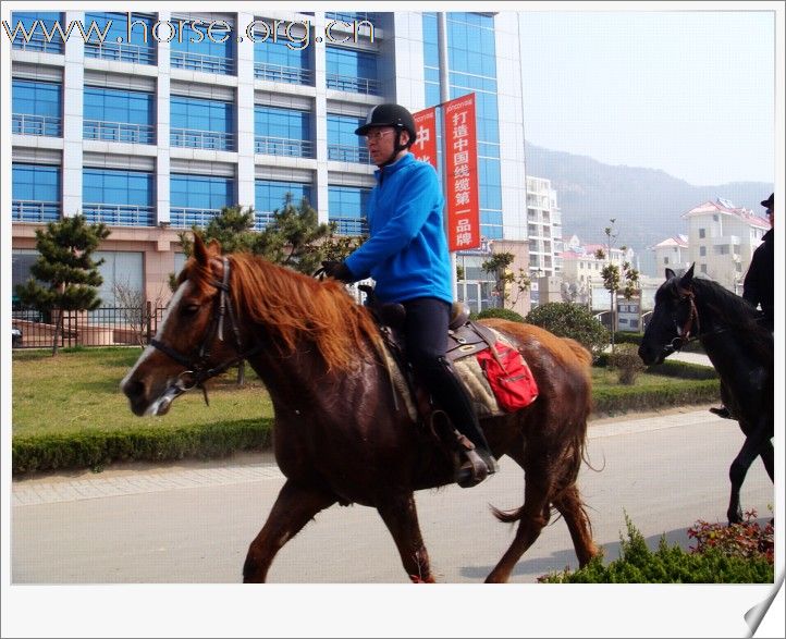 [贴图]青岛凤凰马术俱乐部第四届骑马穿越活动圆满结束