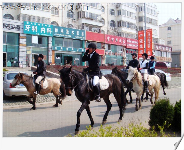 [贴图]青岛凤凰马术俱乐部第四届骑马穿越活动圆满结束