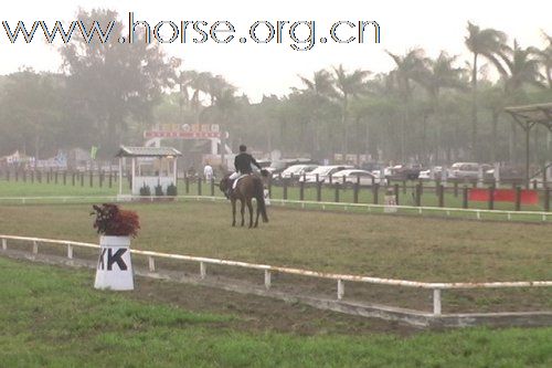 台灣馬場簡介-后里馬場