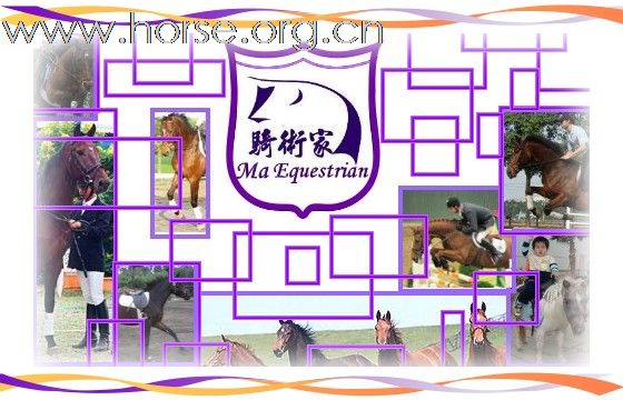 台灣馬場（南部）簡介-騎術家馬術俱樂部