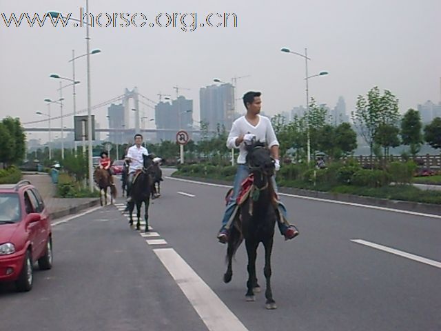 五一南滨路压马路