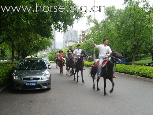 五一南滨路压马路