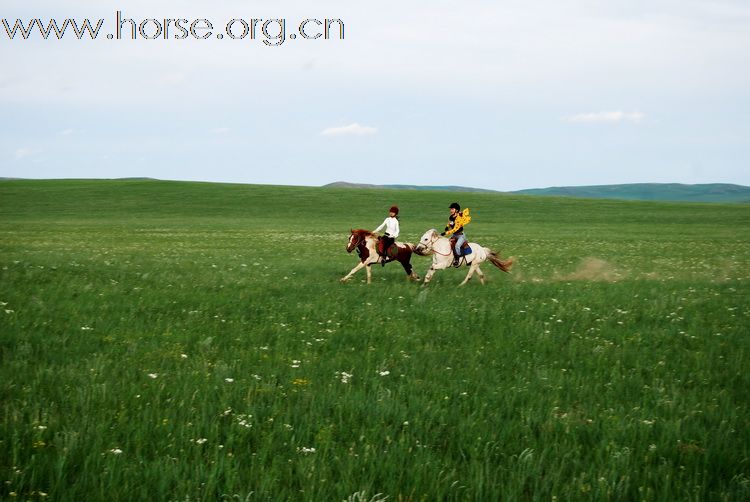 7月10日-19日和战友们去草原上撒欢、看内蒙最大的赛马节