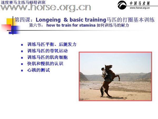 中国速度赛练马师培训讲义