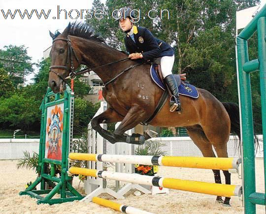 賴楨敏馬術奪冠為港爭光