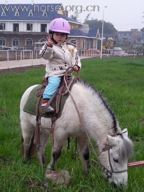 孩子能感受动物和谐的快乐，自信、高雅、培养爱心、惟有马术！看这小骑士多快乐！