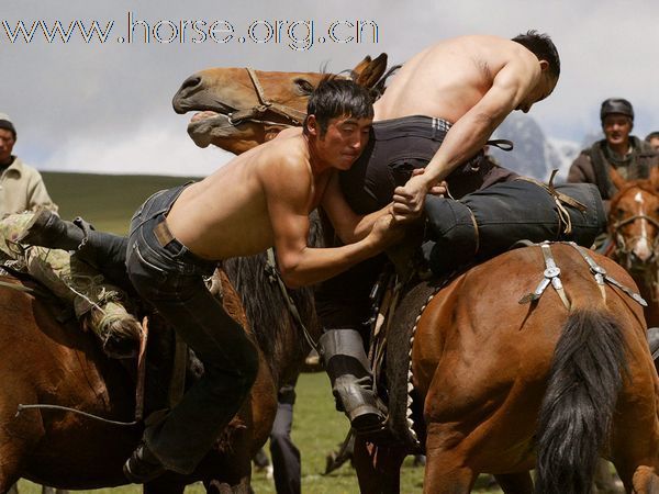 吉爾吉斯斯坦的馬背摔跤、獵鷹和叼羊