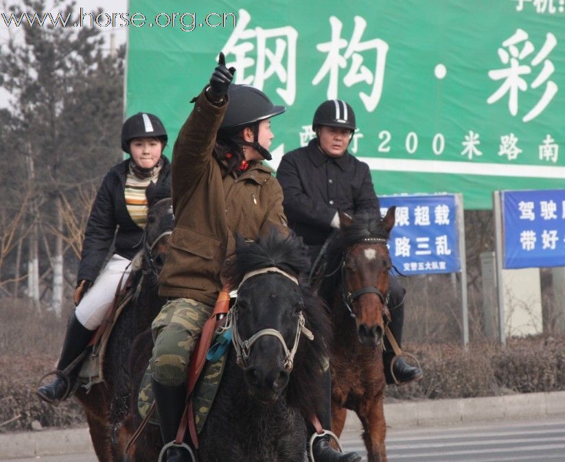 2010年元旦骑马活动纪实(续)