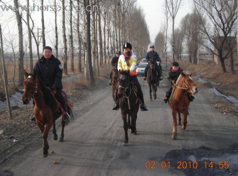 2010年元旦骑马活动纪实(续)