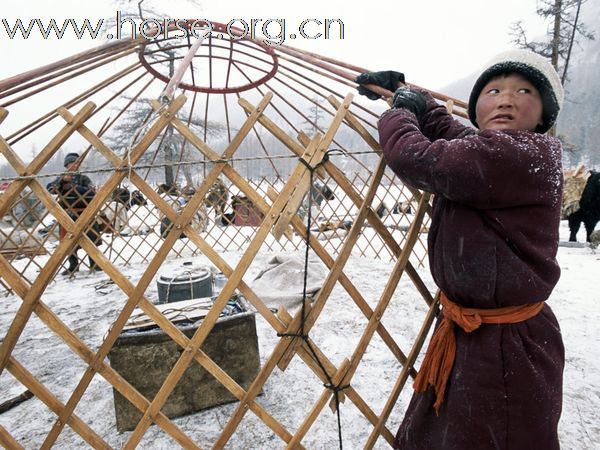蒙古的游牧民族
