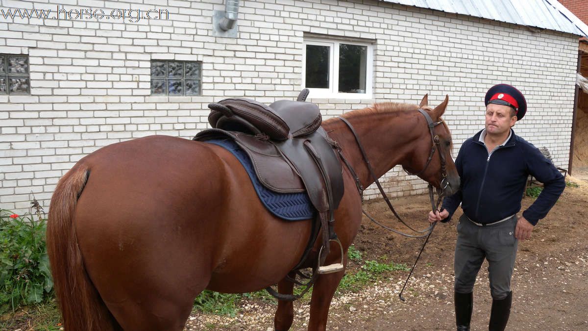 视频：俄国哥萨克骑兵军歌《草原呀草原》