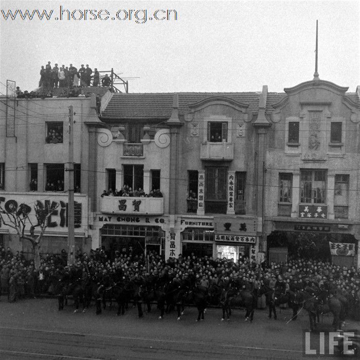 [贴图]1948年的上海骑警